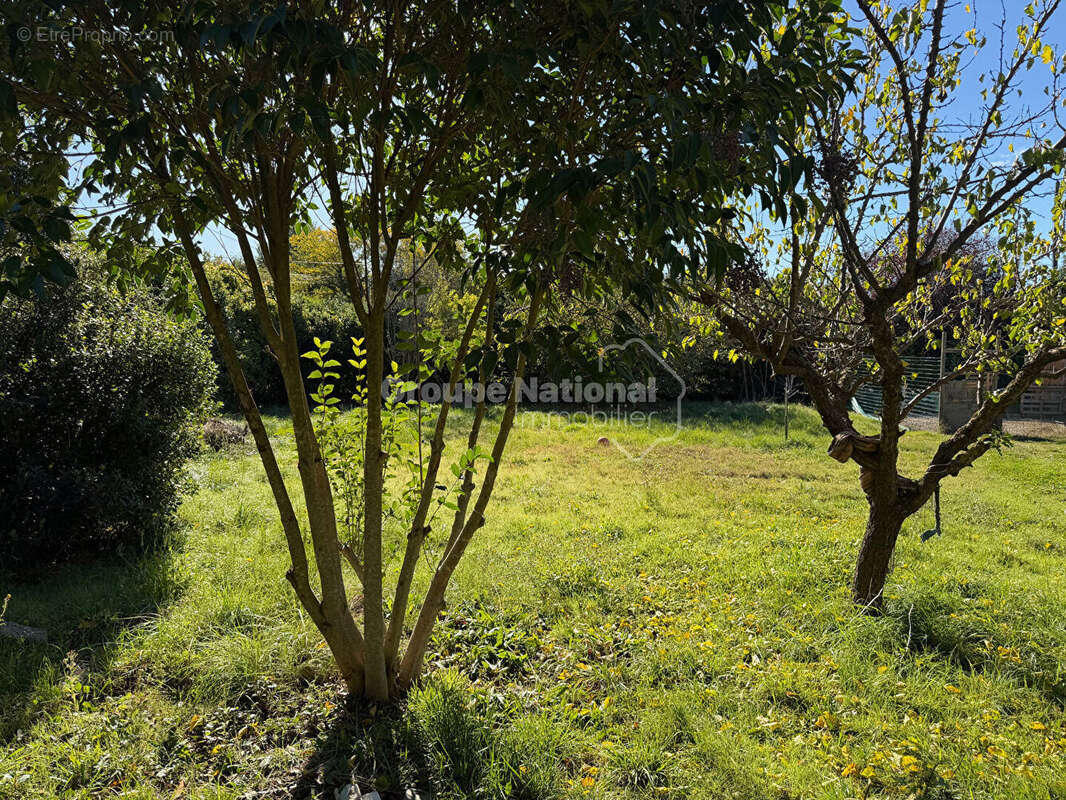 Terrain à CRUVIERS-LASCOURS