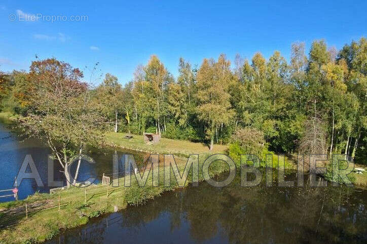 Terrain à TINCHEBRAY