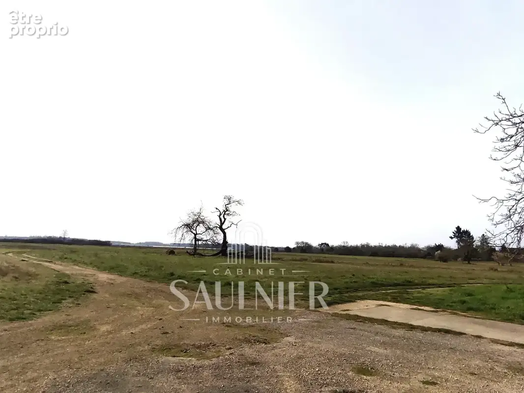 Terrain à vendre viabilisé 8206 m2 à montlivault - photo 2