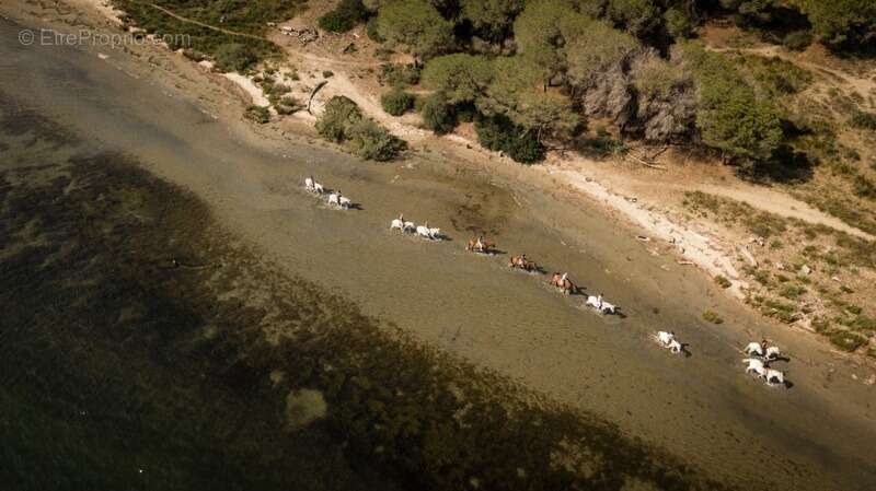 Commerce à SAINTES-MARIES-DE-LA-MER