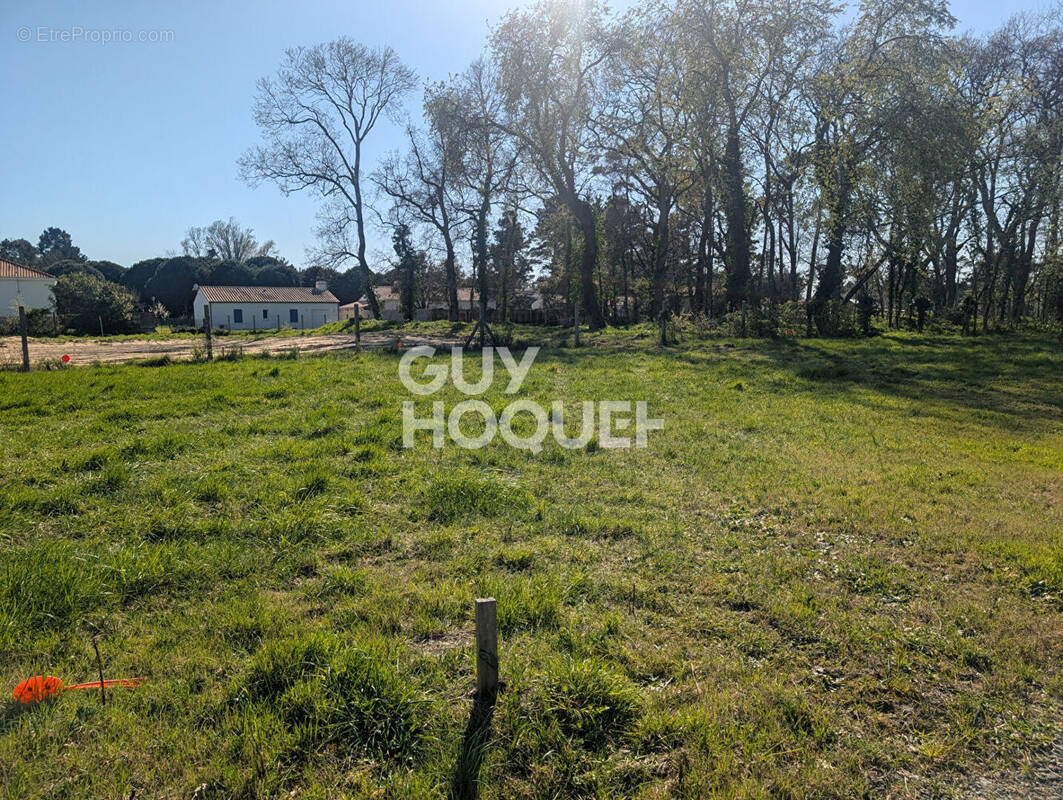 Terrain à SAINT-JEAN-DE-MONTS