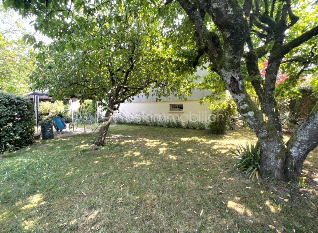 Maison à VILLENEUVE-SUR-YONNE