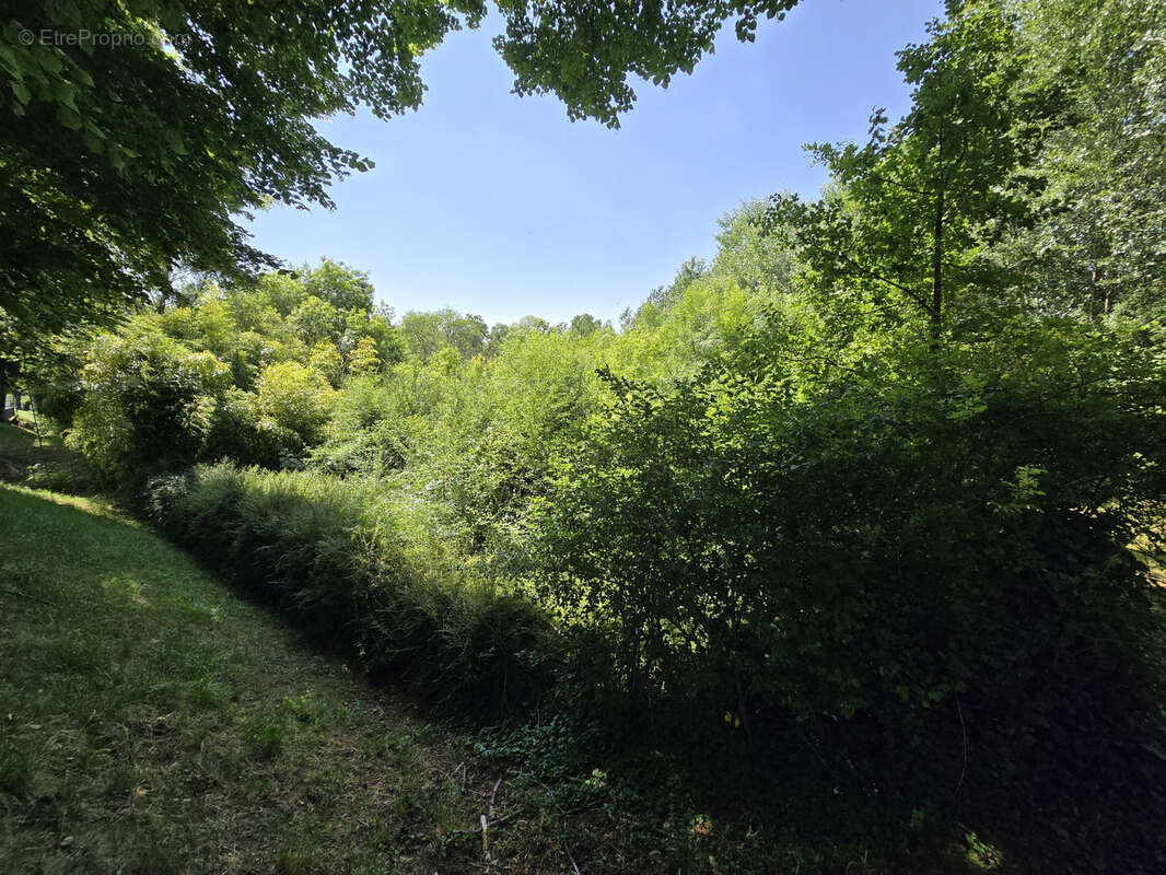 Terrain à CHATILLON-SUR-INDRE