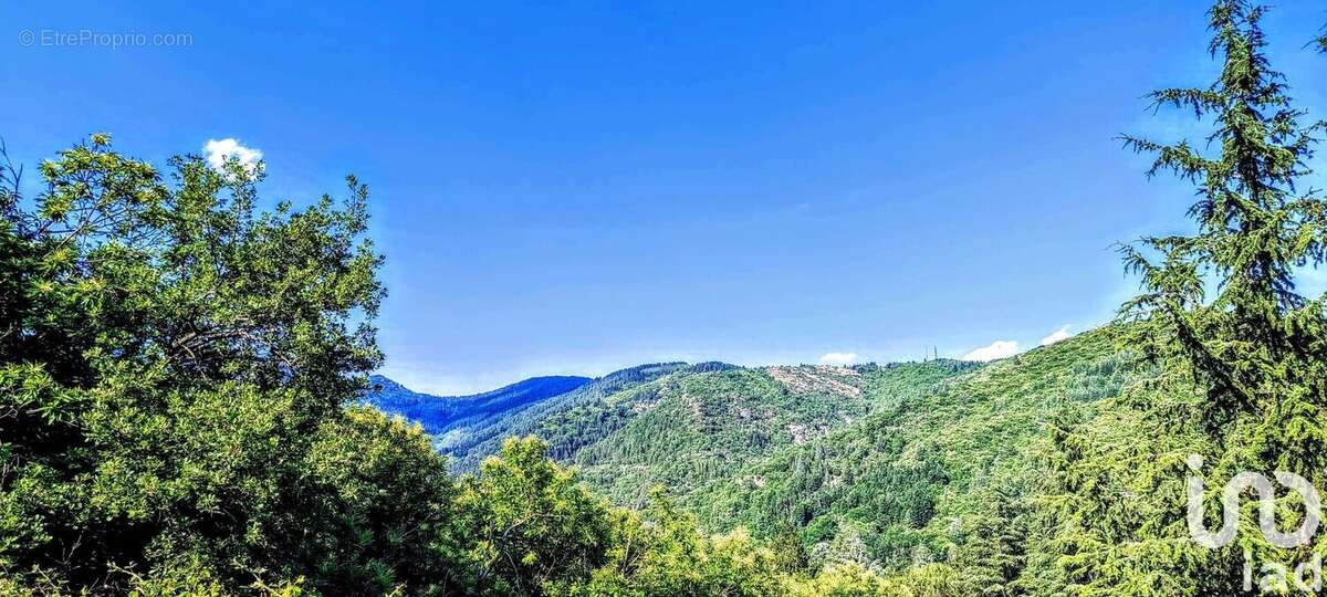 Photo 3 - Terrain à AULAS