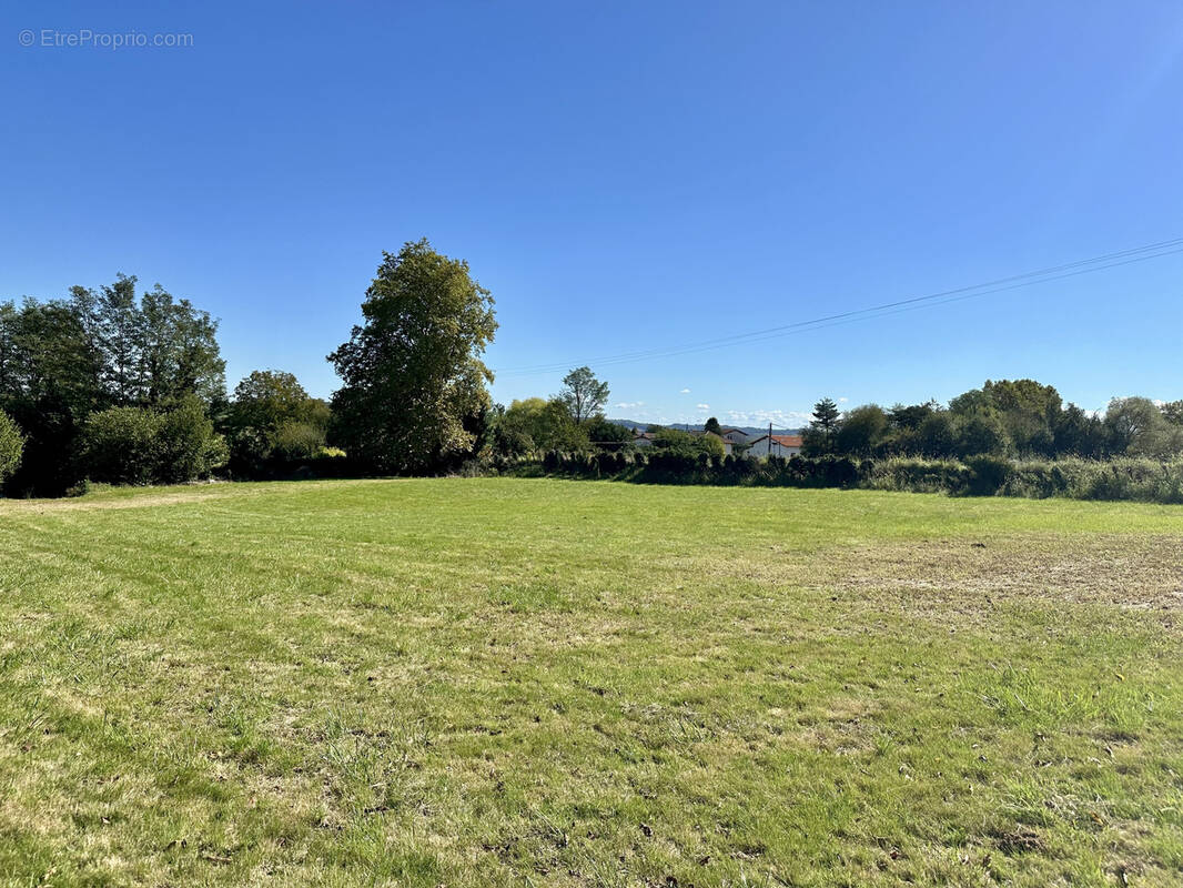 Terrain à MASPARRAUTE