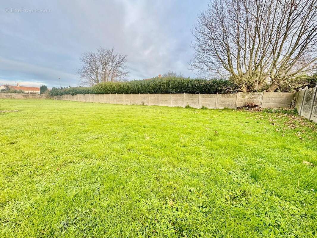 Photo 2 - Terrain à BOUIN
