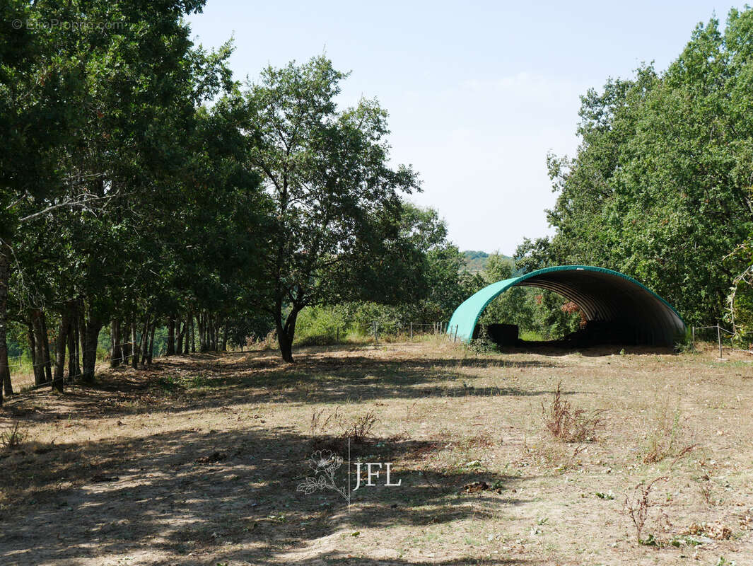 n°3 - Terrain à MOISSAC