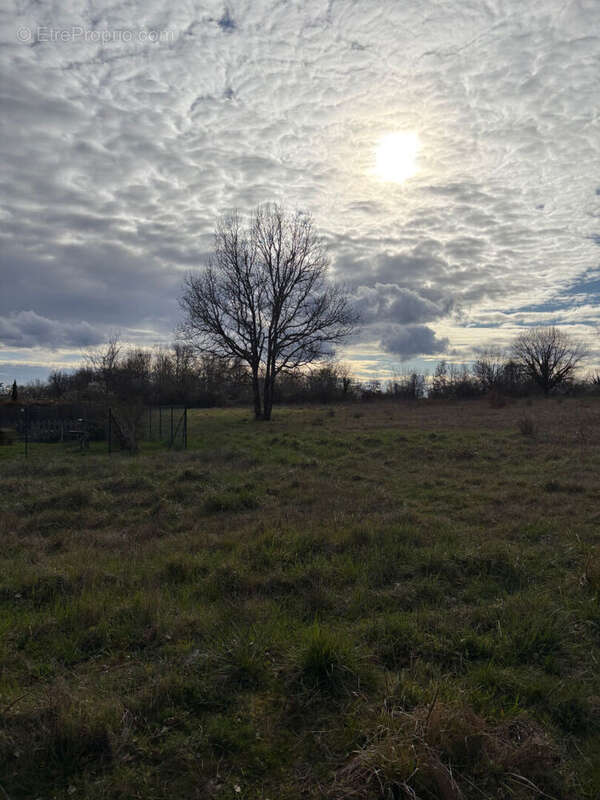 Terrain à VILLAUDRIC