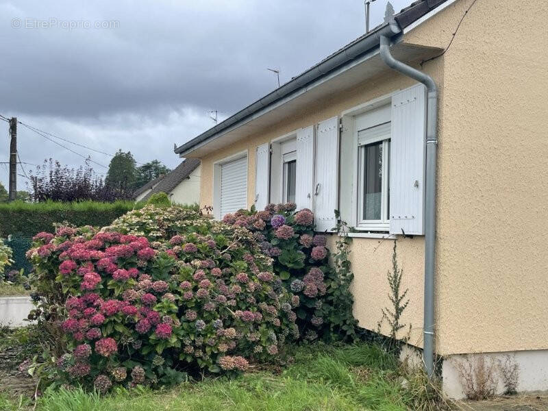 Maison à AUTHON-DU-PERCHE
