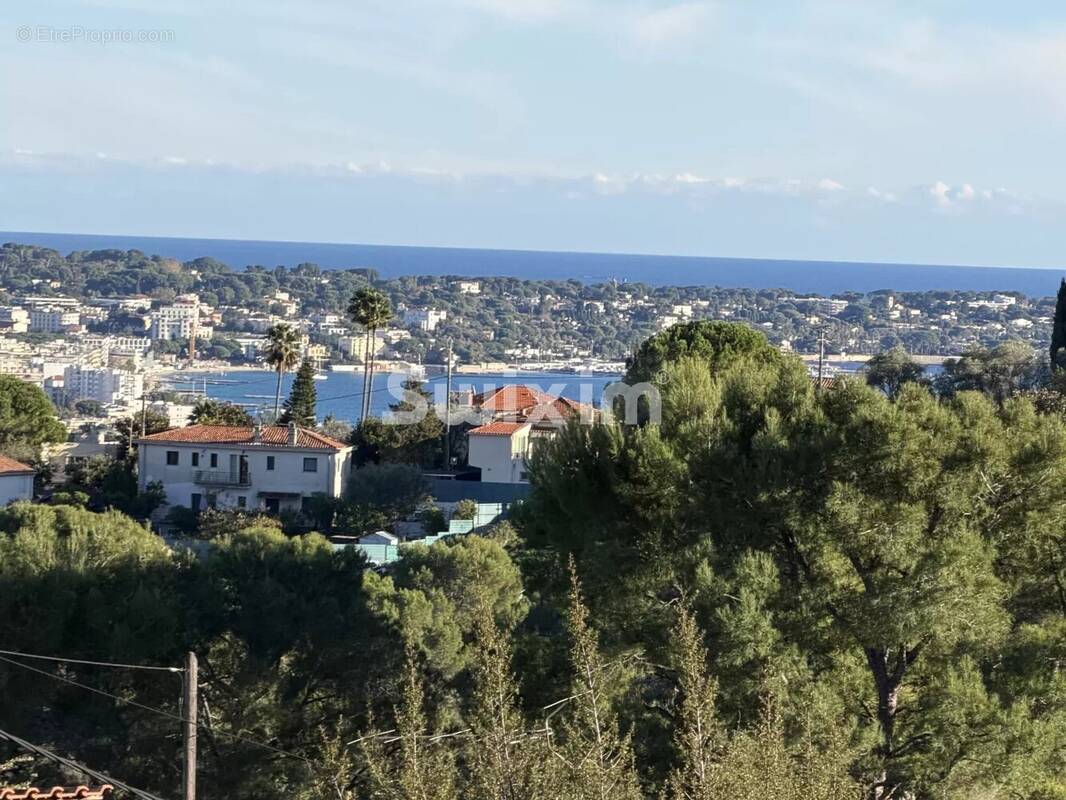Terrain à VALLAURIS