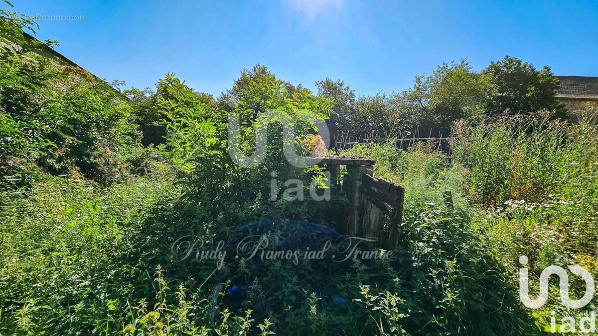 Photo 3 - Autre à SEVERAC-LE-CHATEAU