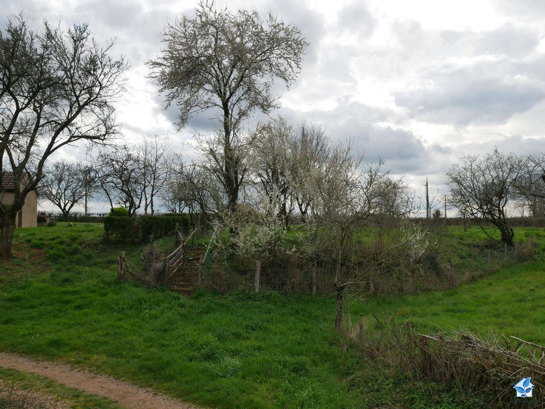 Maison à LIERNOLLES