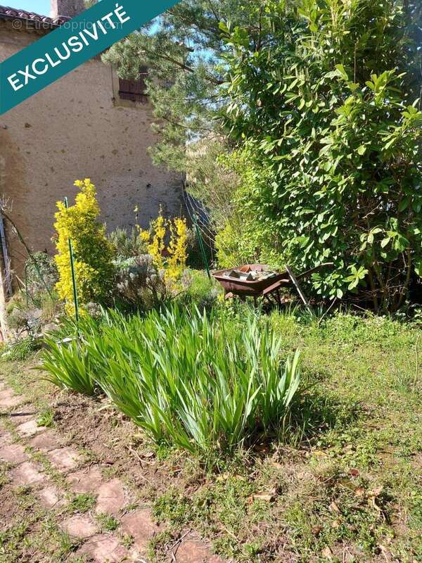 Photo 9 - Maison à MIREPOIX
