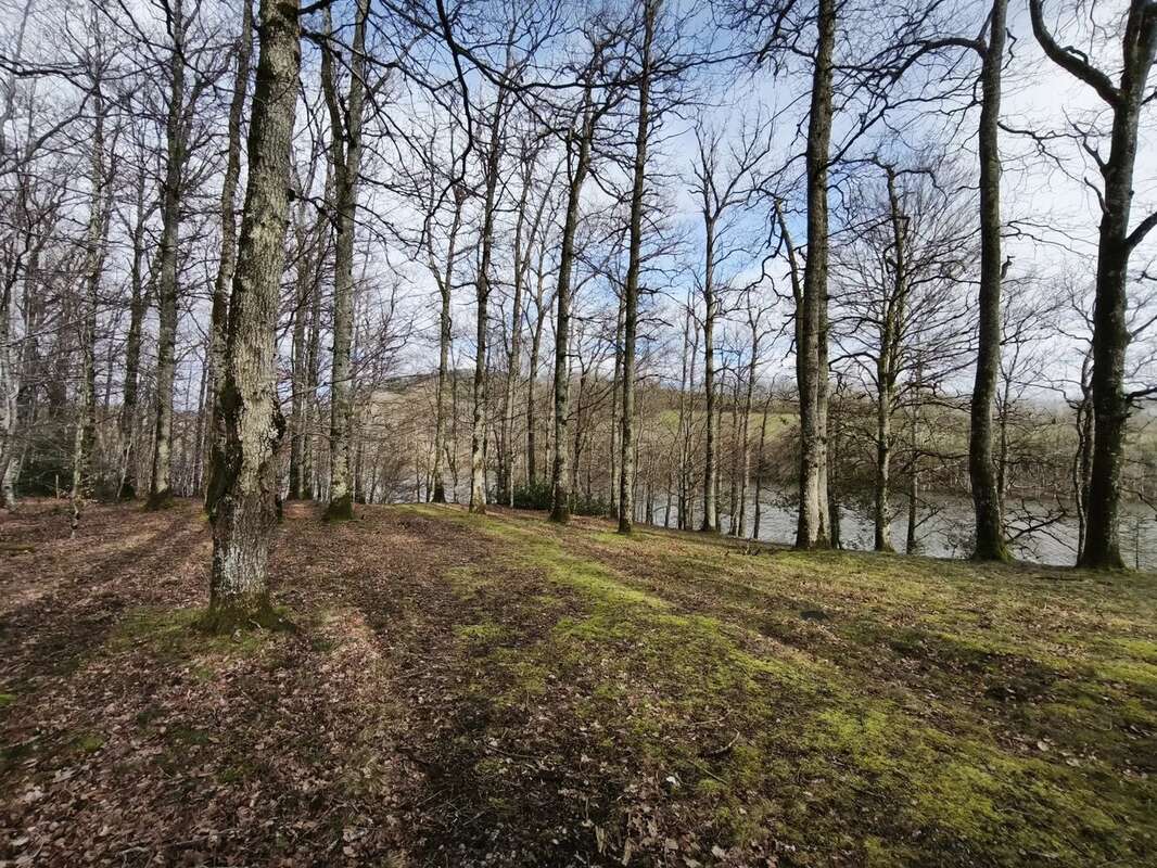 Terrain à PONT-DE-SALARS