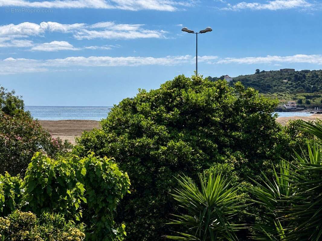 vue mer - Maison à ARGELES-SUR-MER