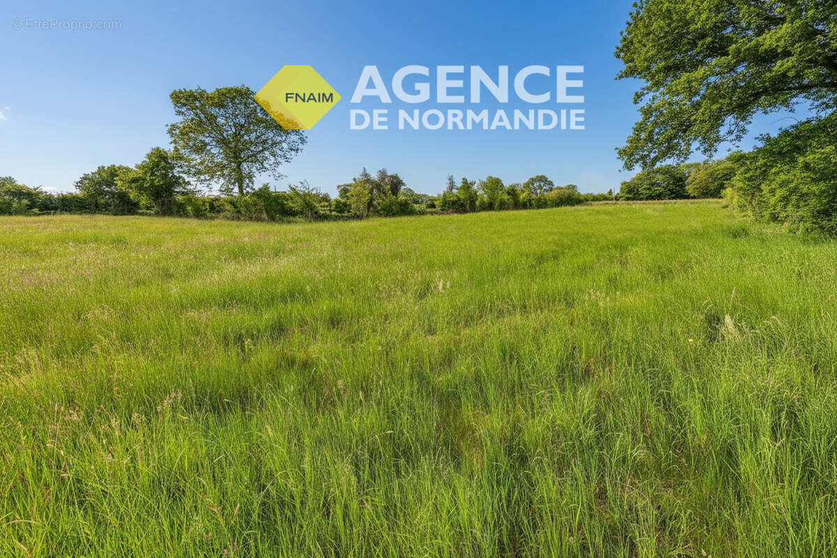 Terrain à MONTREUIL-L&#039;ARGILLE