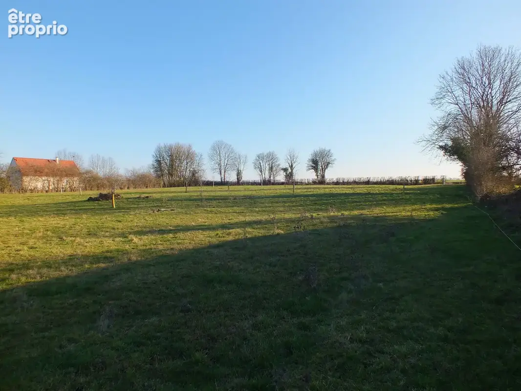 Dpt Côte d'Or (21), à vendre MUSIGNY terrain - Terrain de 5 990,00 m² - photo 3
