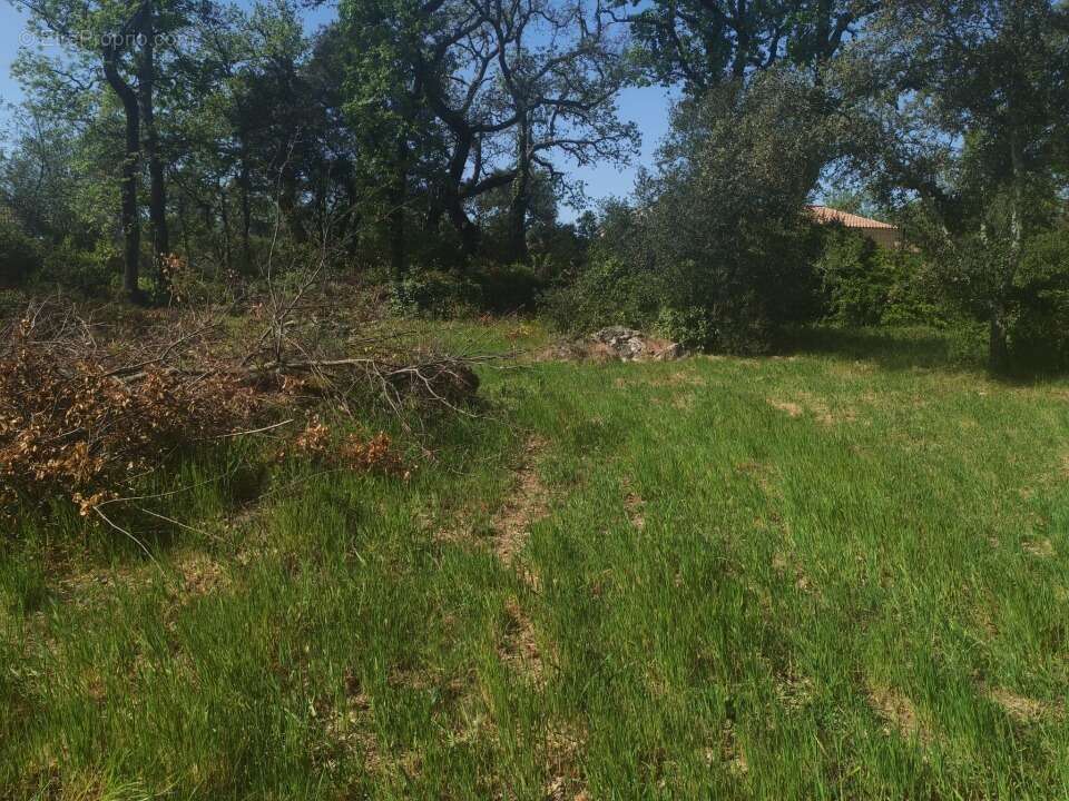 Terrain 620 m² à Camps-La-Source  - photo 6