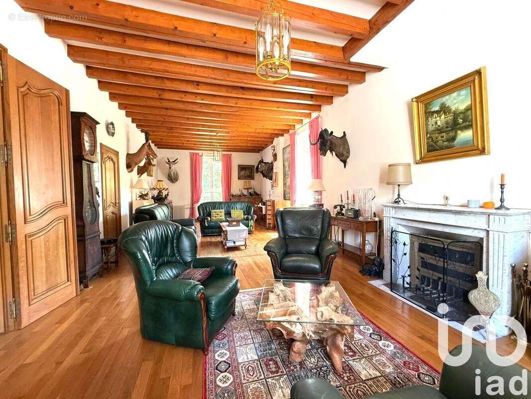 Maison 440 m² à Sainte-Montaine  - photo 7