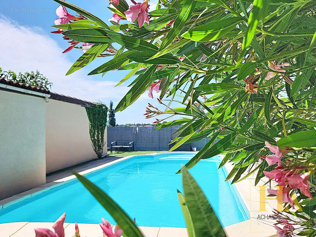 « Posez vos valises ! Maison de plain-pied entièrement rénovée avec piscine » - photo 3
