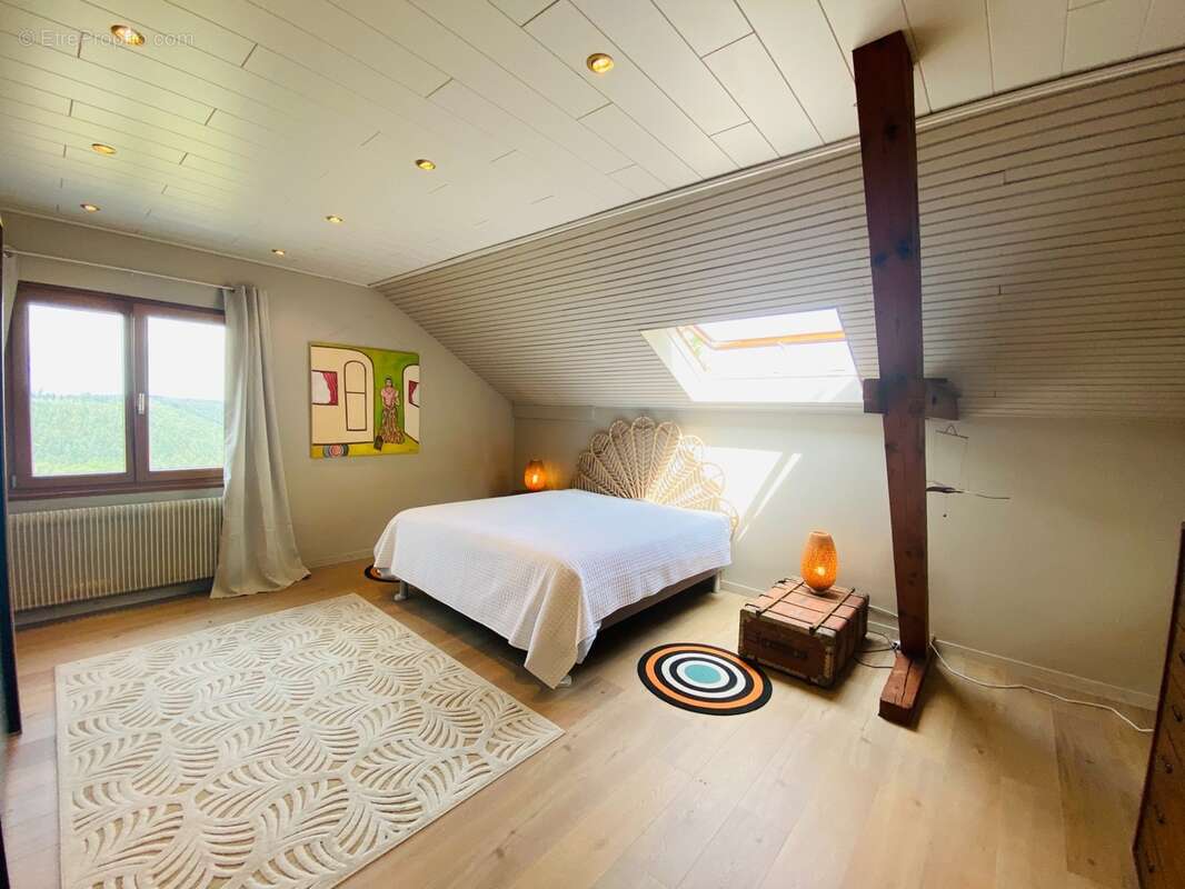 Propriété familiale d'exception de 221m2 à HULTEHOUSE, vue panoramique, terrain de 2024m2 - photo 17