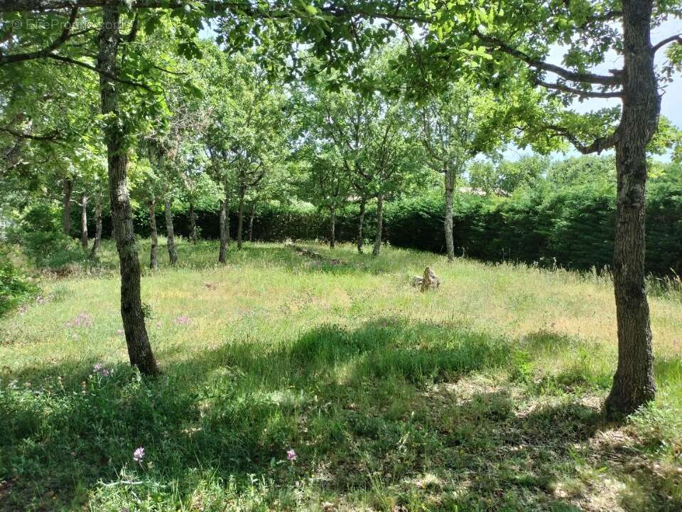 Terrain à LE CANNET-DES-MAURES