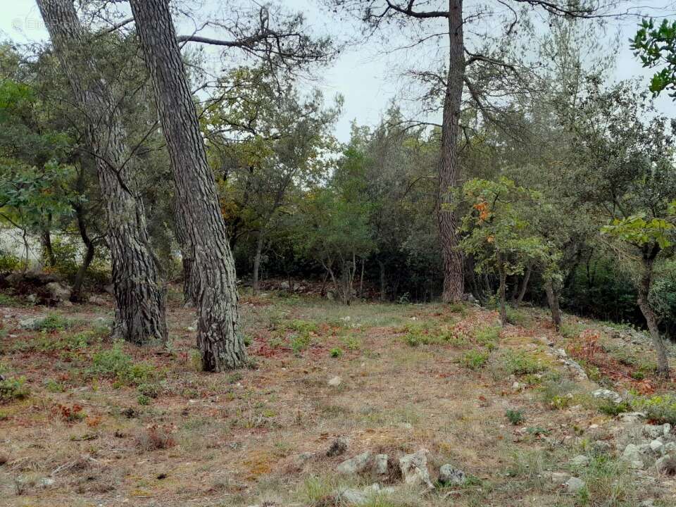 Terrain à SAINT-MAXIMIN-LA-SAINTE-BAUME