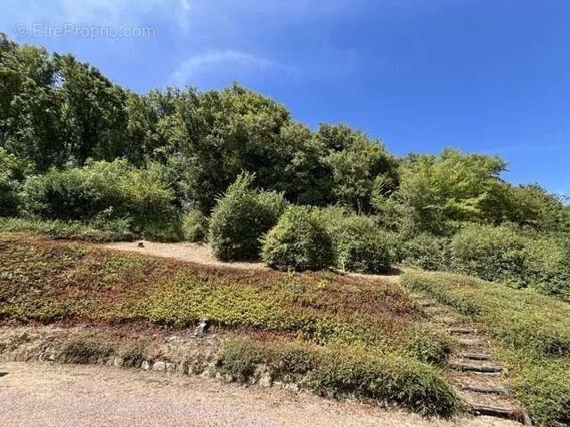 Belle propriété à 10 min de Nevers - photo 12