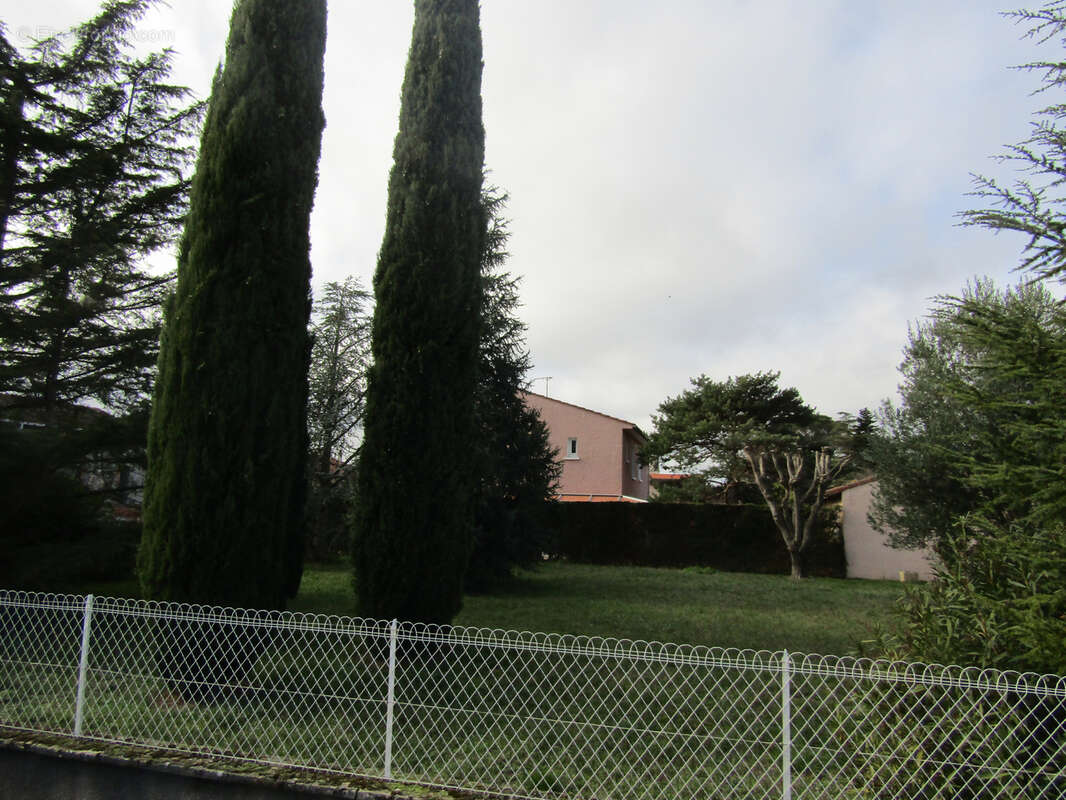 Terrain arboré de 585 m2 à 150 m du Cinéma - photo 2