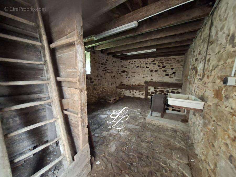 Maison 58 m² à Saint-Denis-D'orques  - photo 443