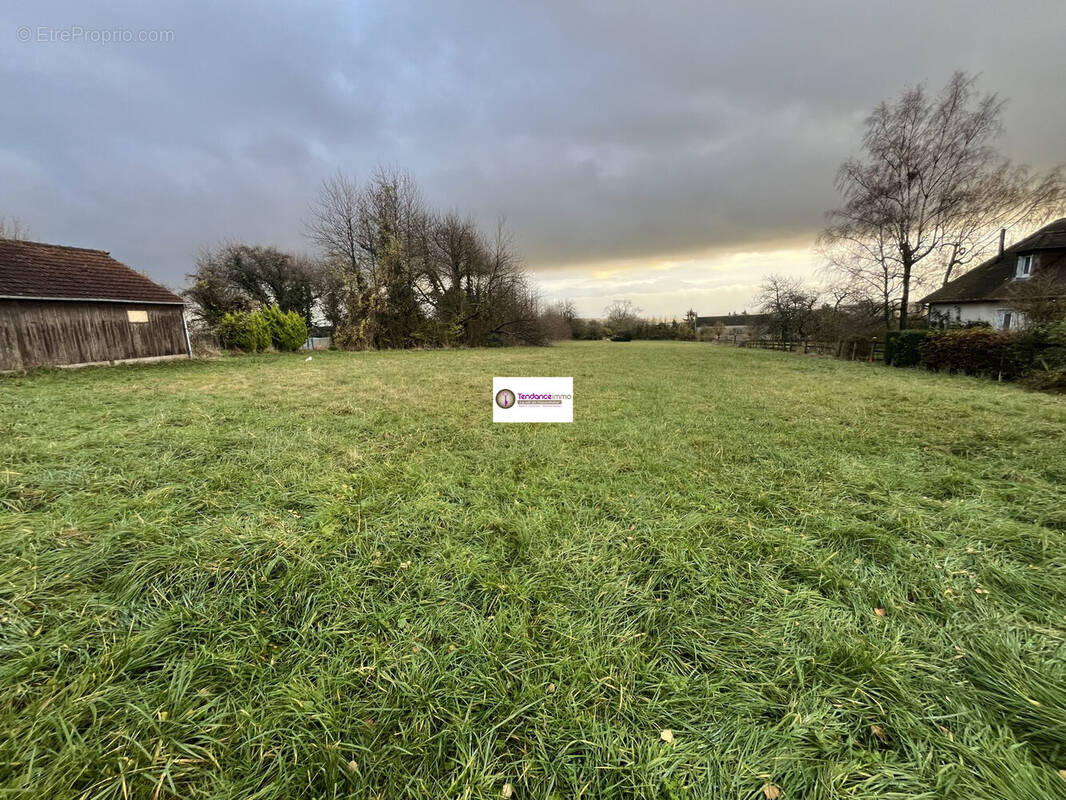 Terrain à COURTOMER