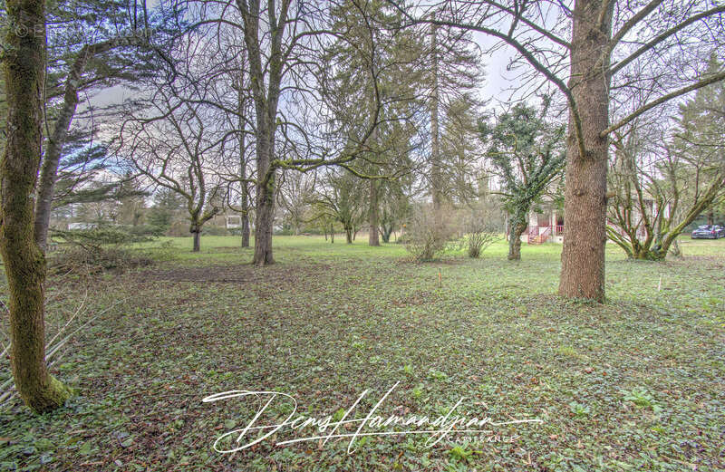 Terrain à SAINT-MAURICE-DE-GOURDANS