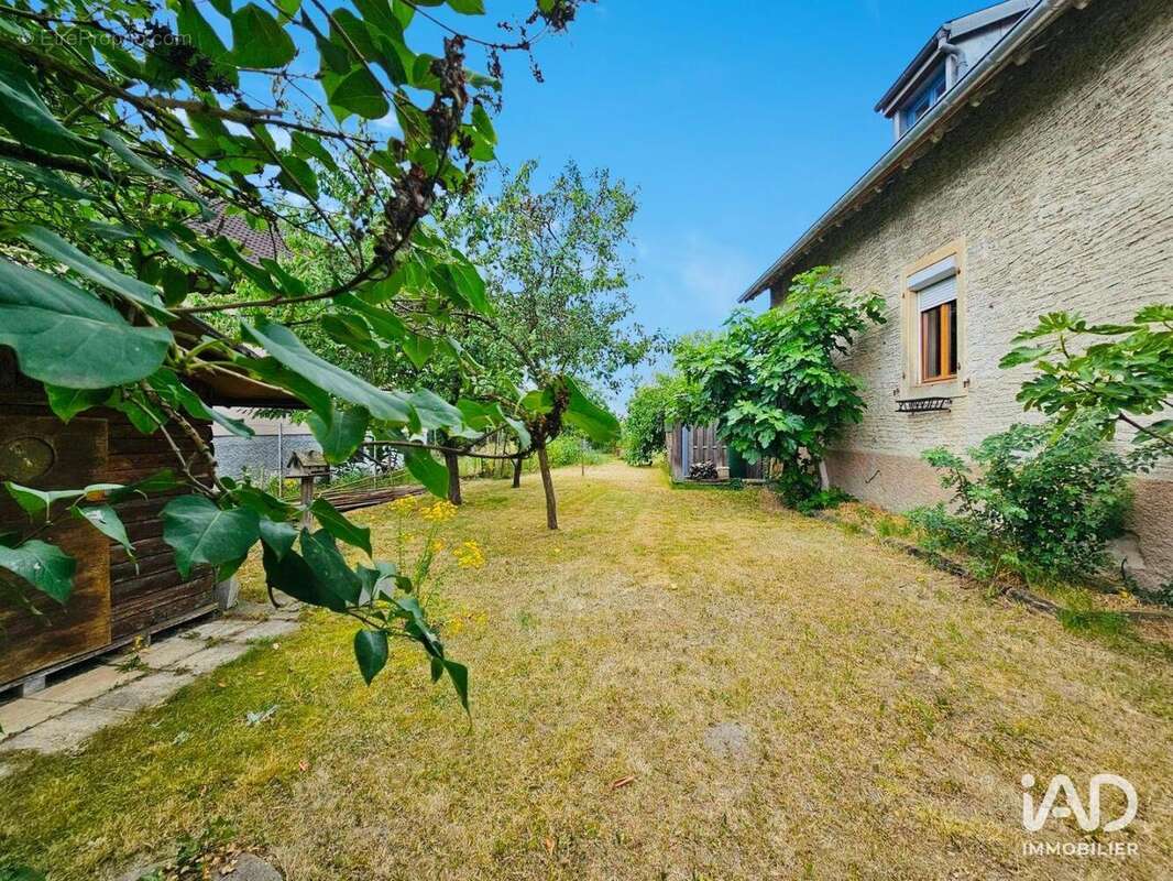 Photo 8 - Maison à ALGOLSHEIM