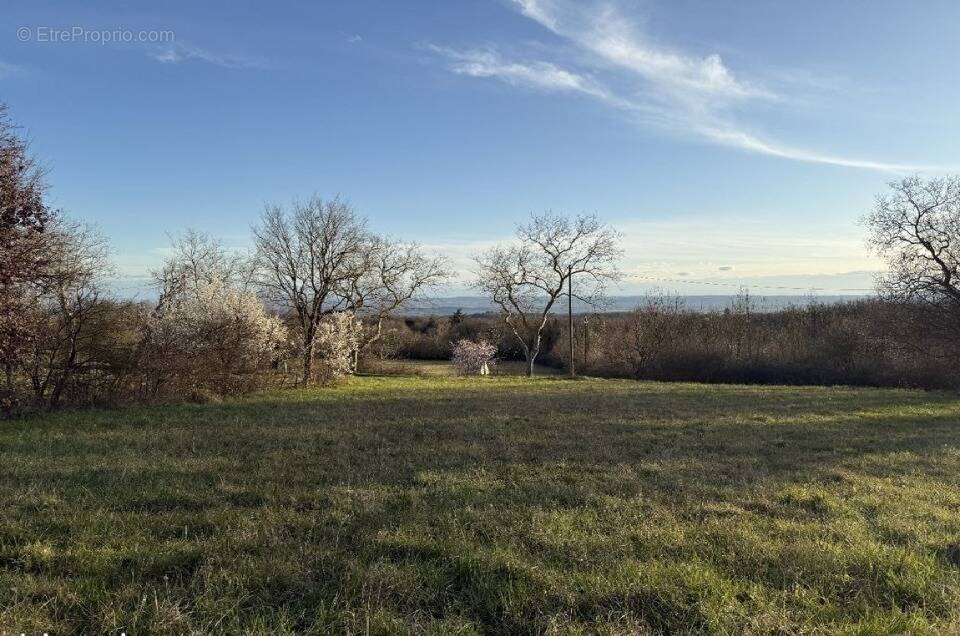 Terrain à LABECEDE-LAURAGAIS