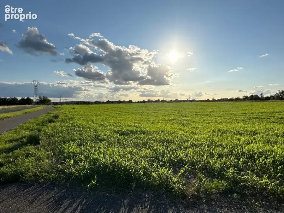Photo Terrain à Langeais au prix de 67 000€