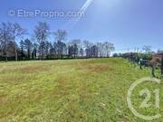 Terrain à LABASTIDE-SAINT-PIERRE