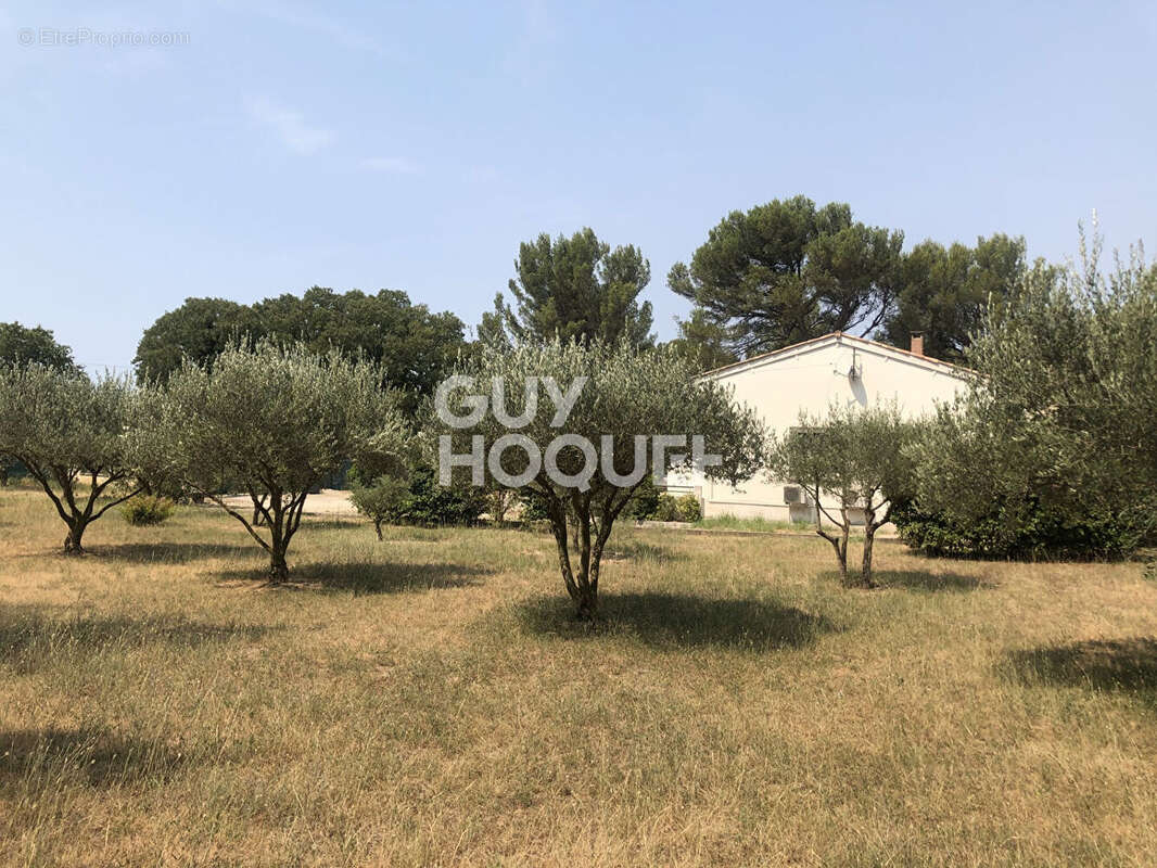 Maison Tarascon dans la garrigue sur 3205 m² - photo 5