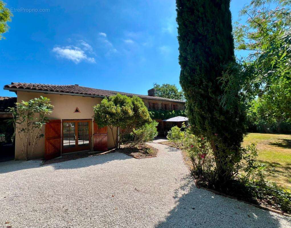 À seulement 6 minutes de Rieumes – Propriété de caractère de plus de 340 m² - photo 2