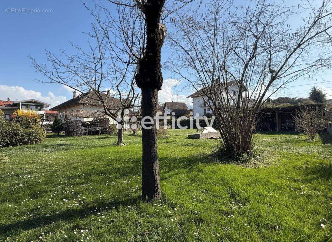 Maison à THONON-LES-BAINS
