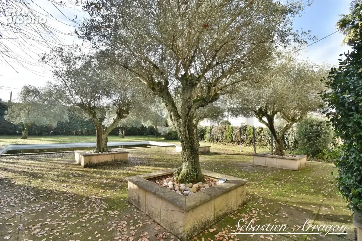 Maison de maître du XIXᵉ siècle à Villeneuve-sur-Lot – 460 m² – Parc de 8 300 m² – Piscine – Centre-ville à pied - photo 40