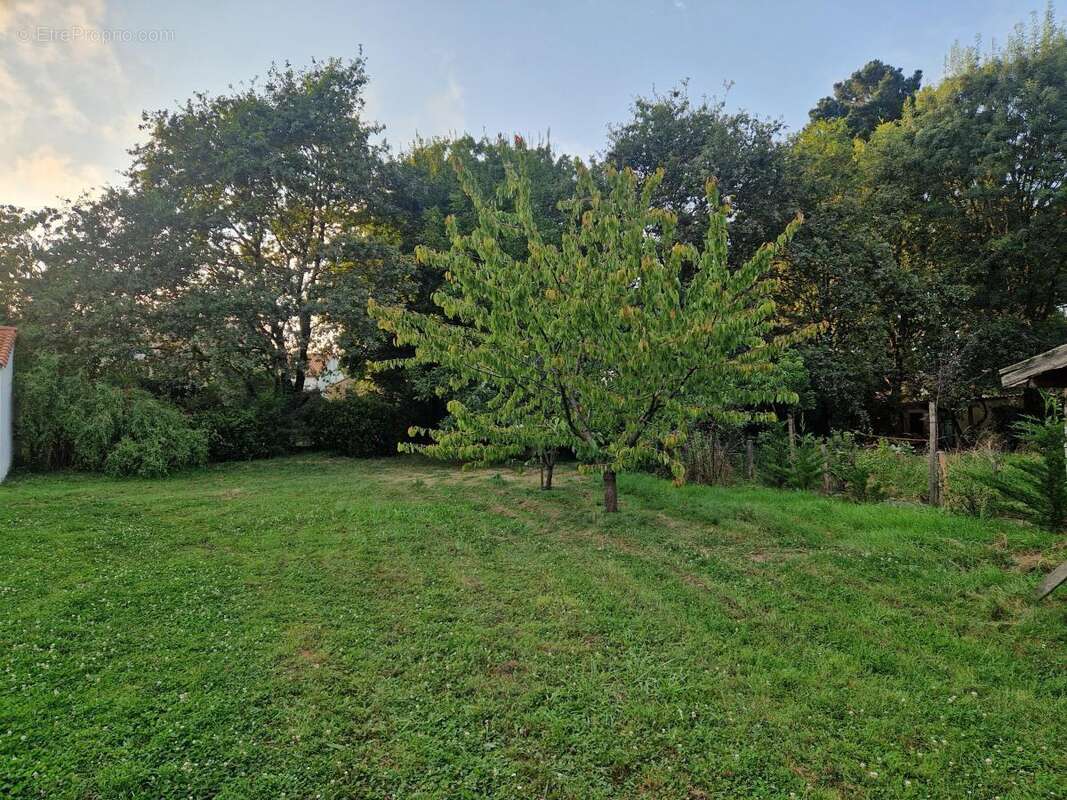 Terrain 493 m² à Pornic  - photo 2
