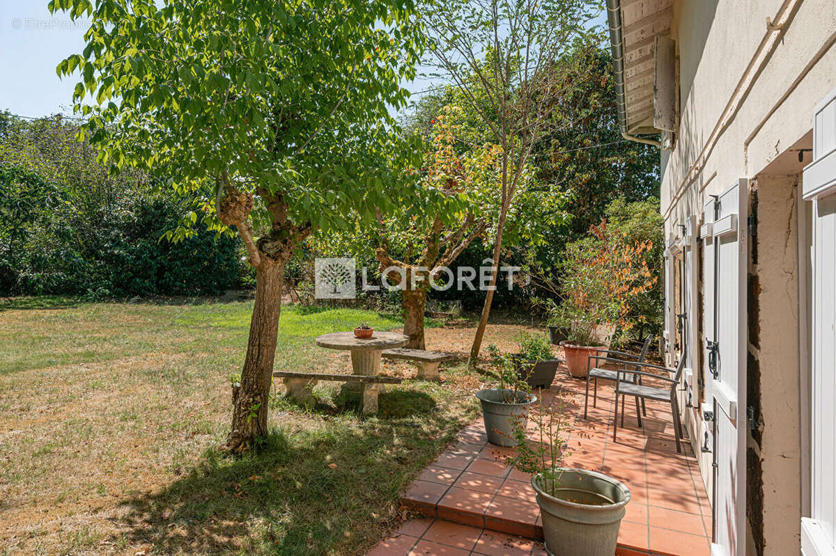 Maison Pissos 6 pièces 179 m2 - photo 4