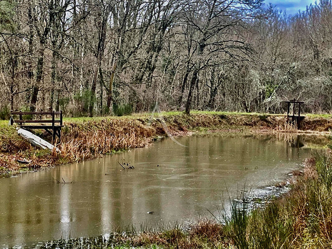 Terrain à VILLEFRANCHE-SUR-CHER