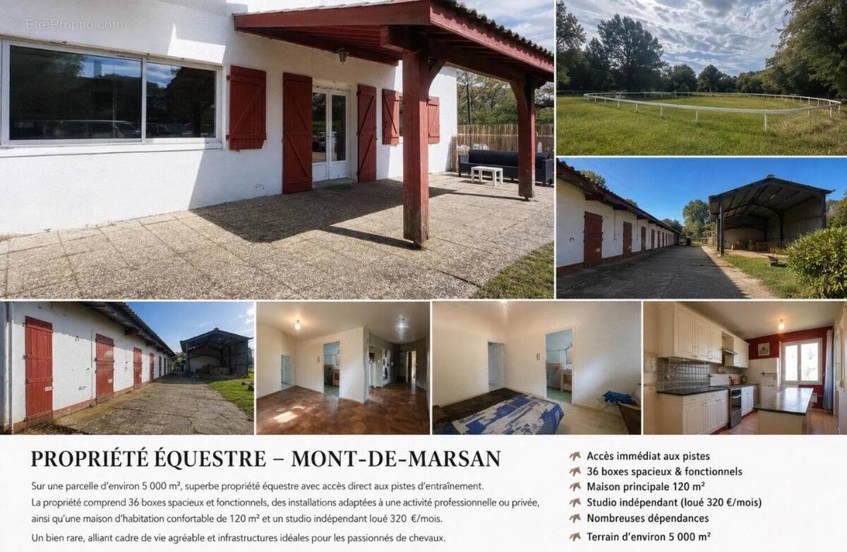 Photo 1 - Maison à MONT-DE-MARSAN