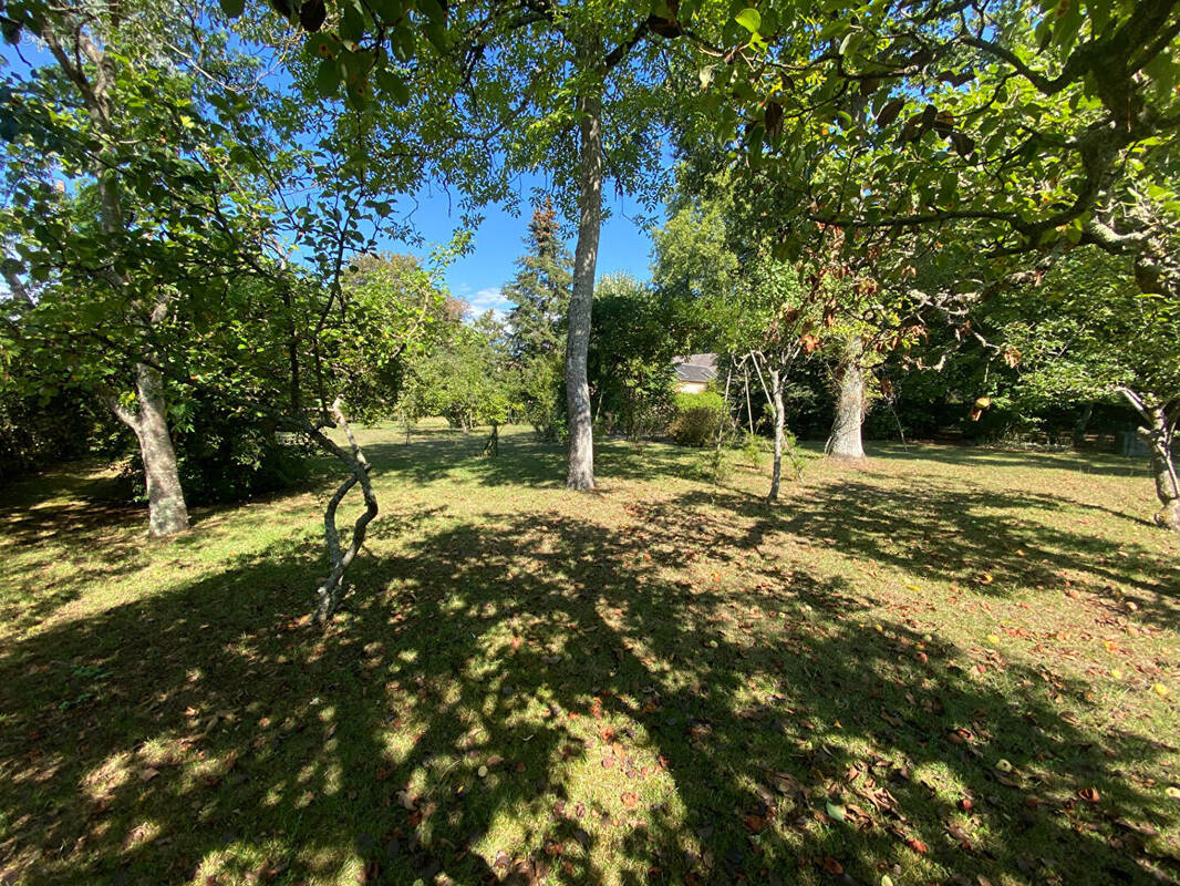 Terrain à OLIVET