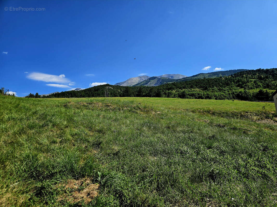 Terrain à BARCELONNETTE