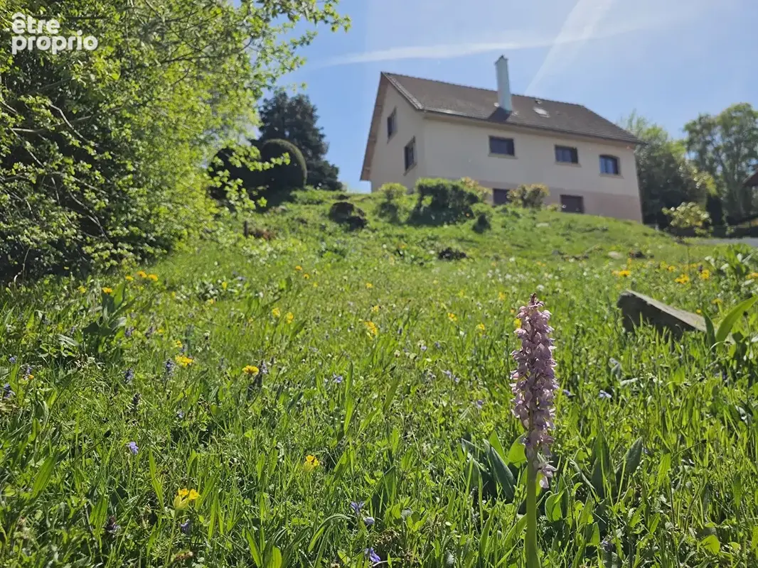Orcines / Vue exceptionnelle sur le Puy de Dôme - photo 18