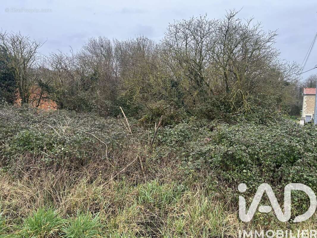 Photo 9 - Terrain à MAINE-DE-BOIXE