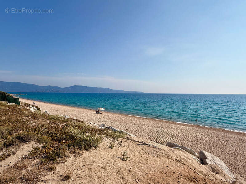 OLMETO-PLAGE (CORSE) : A vendre Studio en front de mer, terrasse, dernier étage, accès direct à la plage - photo 2