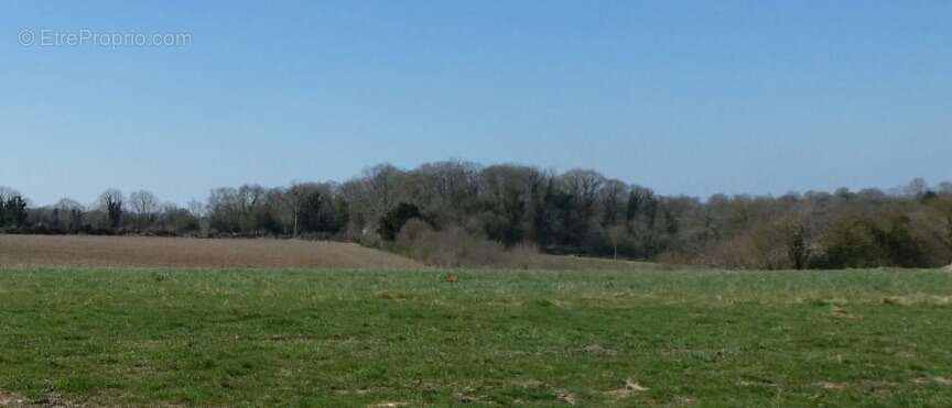 Terrain à MANERBE